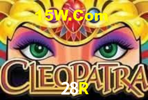 Programa VIP 28R